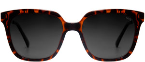 Market Elite Polarized