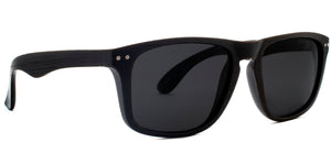 Elmwood Avenue Polarized