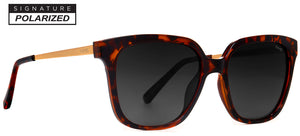 Market Elite Polarized