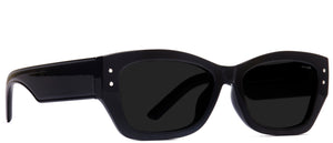 Harkin Lane Polarized