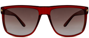 Bridge Polarized - Sunglasses NYS Collection Eyewear Brown/Brown