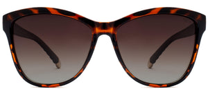 Clarkson Avenue - Sunglasses NYS Collection Eyewear Tortoise/Brown