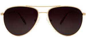 Copley Polarized - Sunglasses NYS Collection Eyewear Gold/Brown