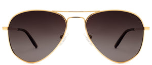 Four20 Elite Polarized - Sunglasses NYS Collection Eyewear Gold/Brown