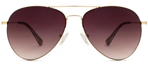 Northbridge Elite - Sunglasses NYS Collection Eyewear Gold/Brown