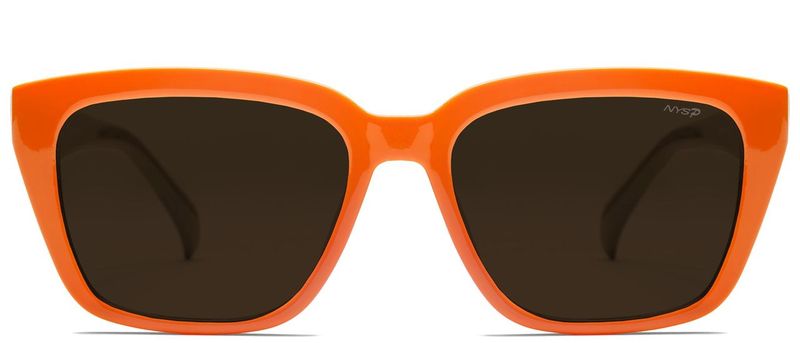 Silver Bay Polarized