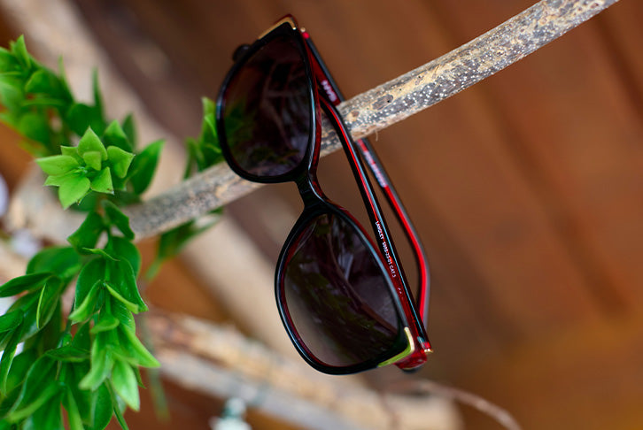 Langley Elite Polarized