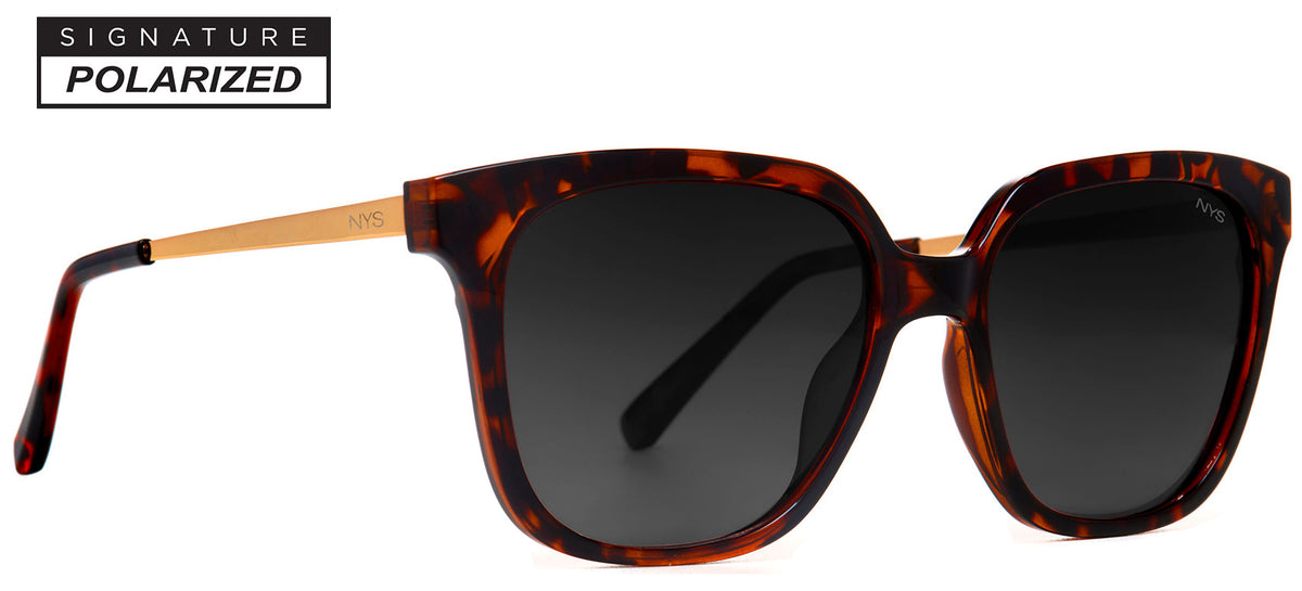 Market Elite Polarized