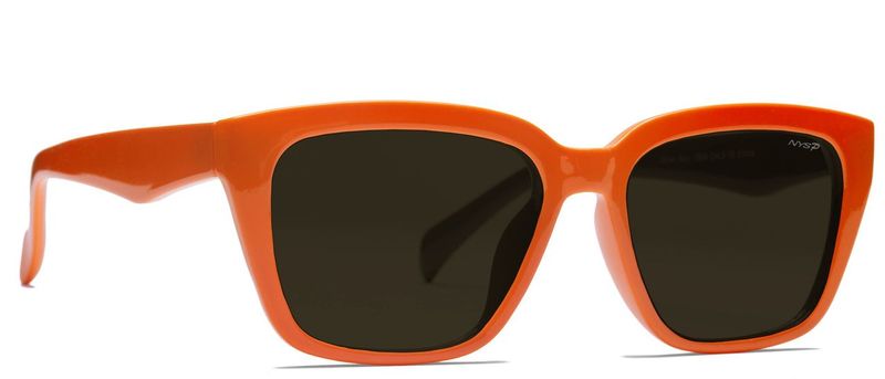 Silver Bay Polarized