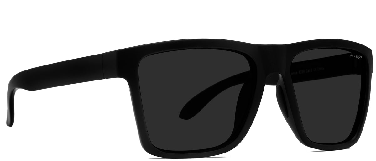 Arnold Avenue Polarized