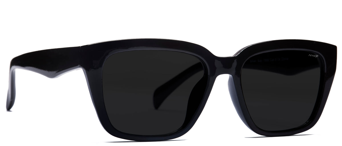 Silver Bay Polarized