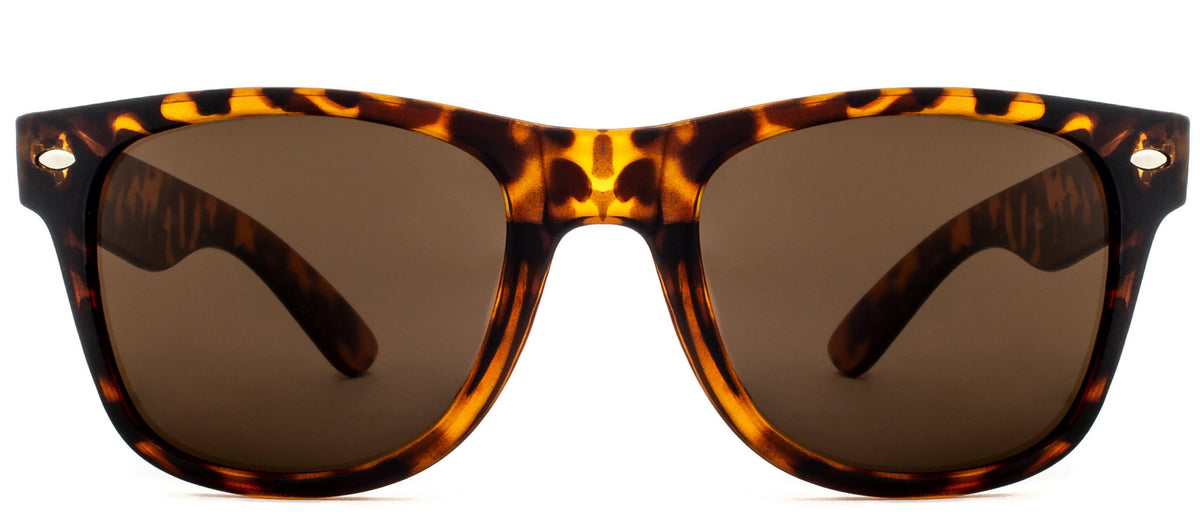 Bleecker Polarized - Sunglasses NYS Collection Eyewear Tortoise/Brown
