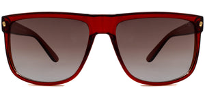 Bridge Polarized - Sunglasses NYS Collection Eyewear Brown/Brown