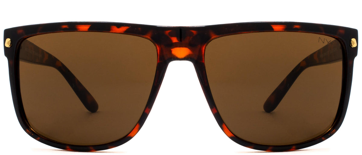 Bridge Polarized - Sunglasses NYS Collection Eyewear Tortoise/Brown