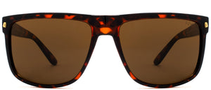 Bridge Polarized - Sunglasses NYS Collection Eyewear Tortoise/Brown