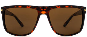 Bridge Street - Sunglasses NYS Collection Eyewear Tortoise/Brown