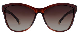Clarkson Avenue - Sunglasses NYS Collection Eyewear Brown/Brown