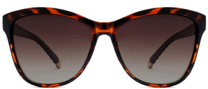Clarkson Avenue - Sunglasses NYS Collection Eyewear Tortoise/Brown