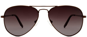 Four20 Elite Polarized - Sunglasses NYS Collection Eyewear Brown/Brown