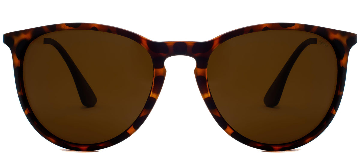 Hutchinson Polarized - Sunglasses NYS Collection Eyewear Tortoise/Brown