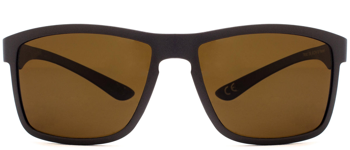 Pimlico Elite Polarized - Sunglasses NYS Collection Eyewear Brown/Brown